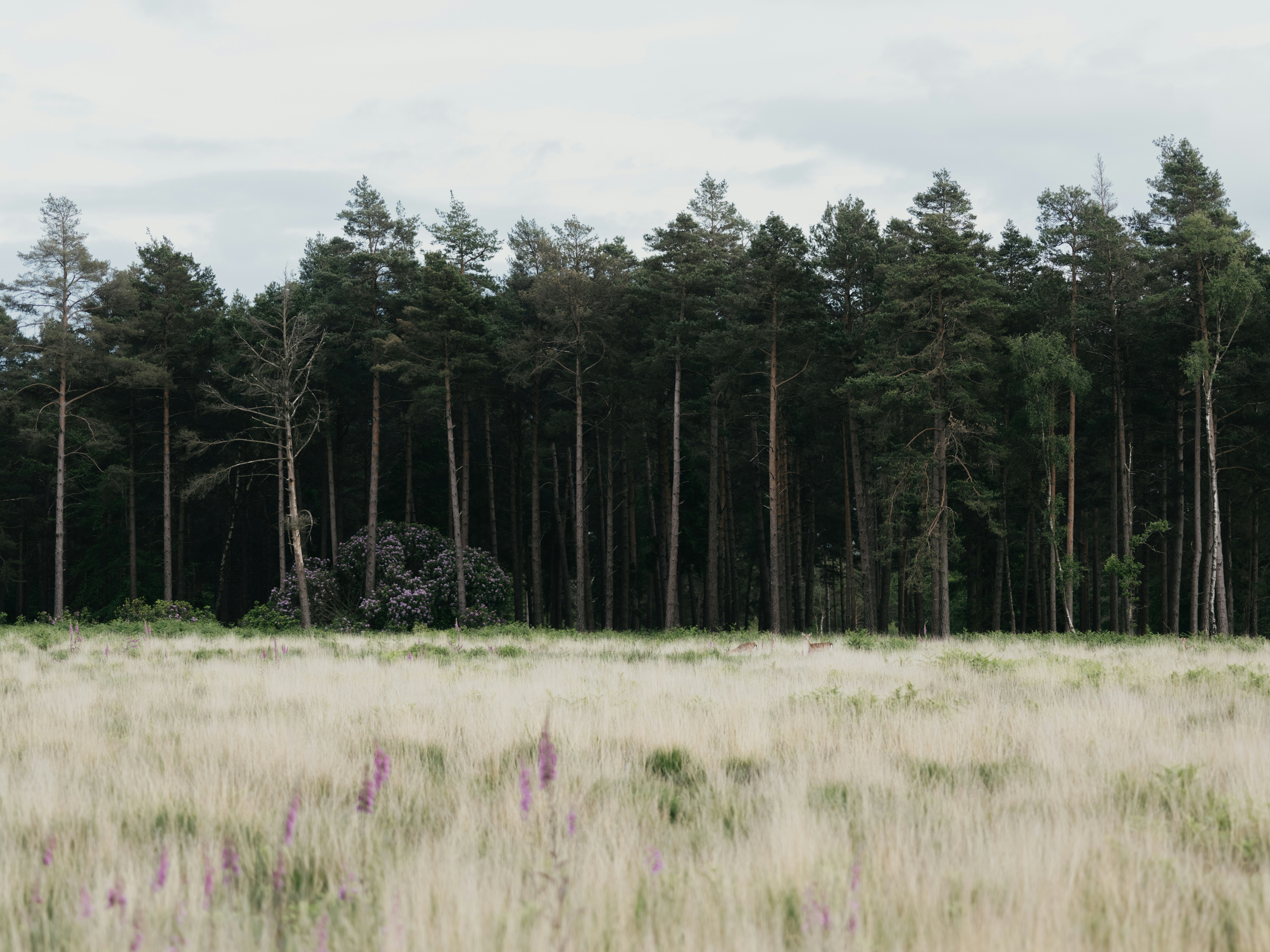 [DEMO] Neubaugebiet "Am Sonnenhang" in Münster – 19 Parzellen – Grundstück in Münster