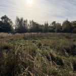 Bild 3 von Baugrundstück mit positivem Bauvorbescheid für 3 Einfamilienhäuser – vielseitige Entwicklungsmöglichkeiten in Wittenhagen
